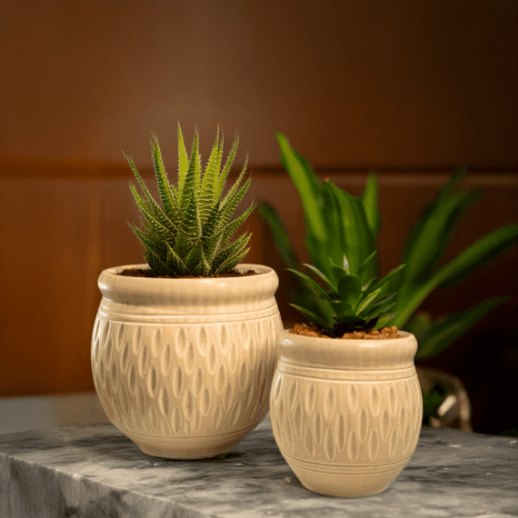 Handcrafted Earthen Ganda Pots