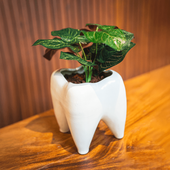Tooth Planter