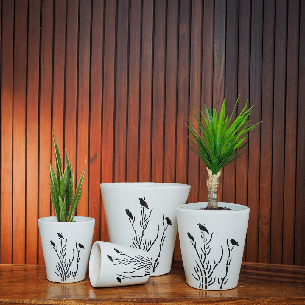 Wholesale Plant Pots for Nurseries | Hocc