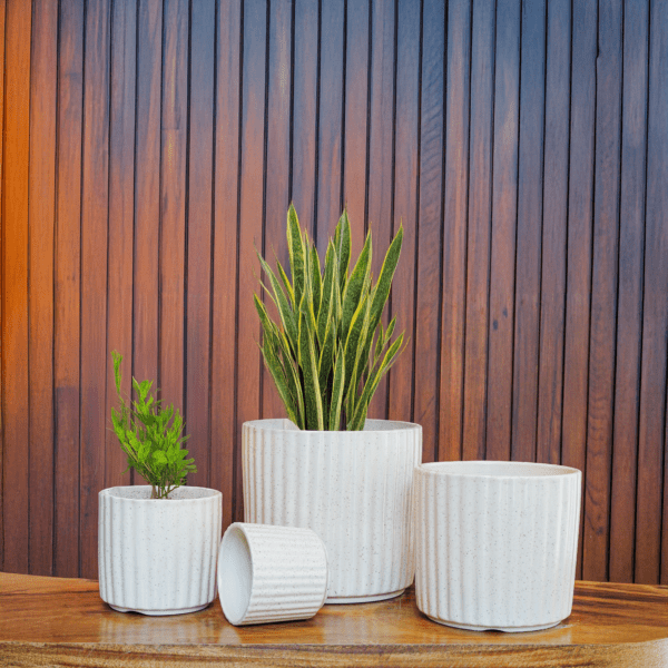 White Textured Cylinder Planter (Set of 4)