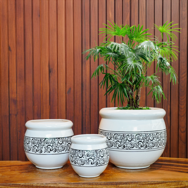 Plantlane Artisanal Ceramic Planter with Leafy Motif/Decorative Planter (Set of 3)