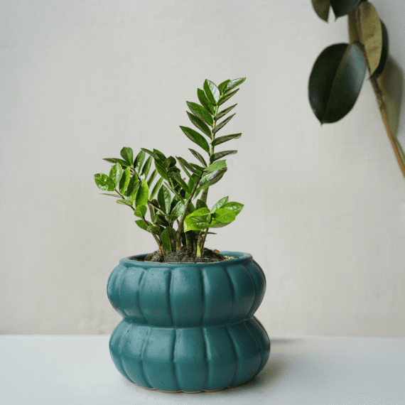 Sculpted Green Planter