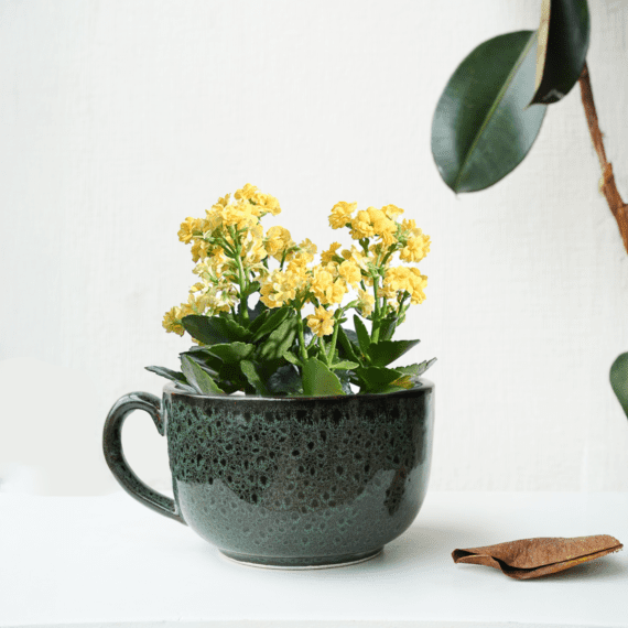 Handcrafted Botanical Bowl