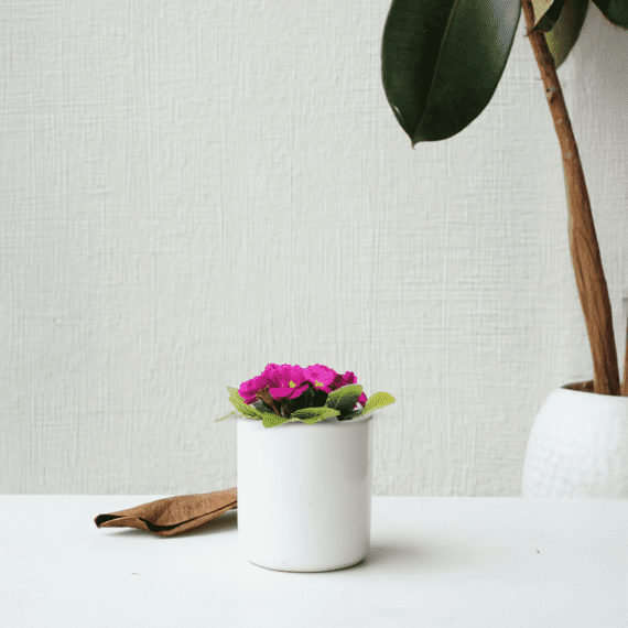 Deskside Delight Planter