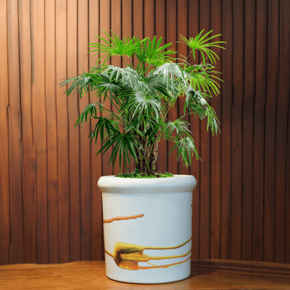 Golden Touch Pot