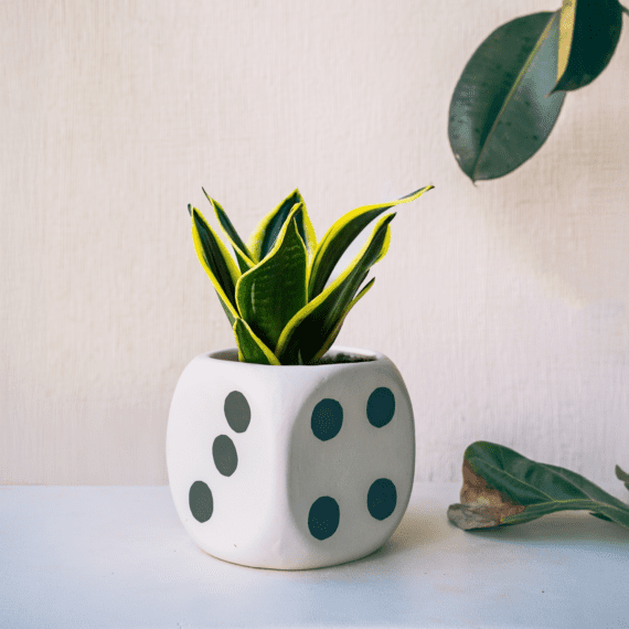 Modern Dice Covered Planters (Black)