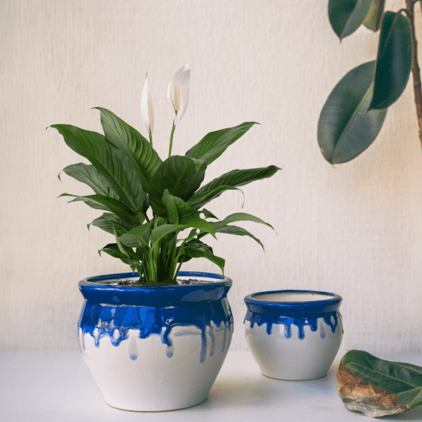 Blue Cascade Planters (Set of 2)