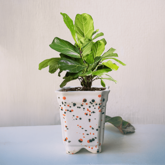 Speckled Ceramic Planter