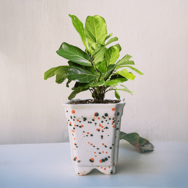 Speckled Ceramic Planter