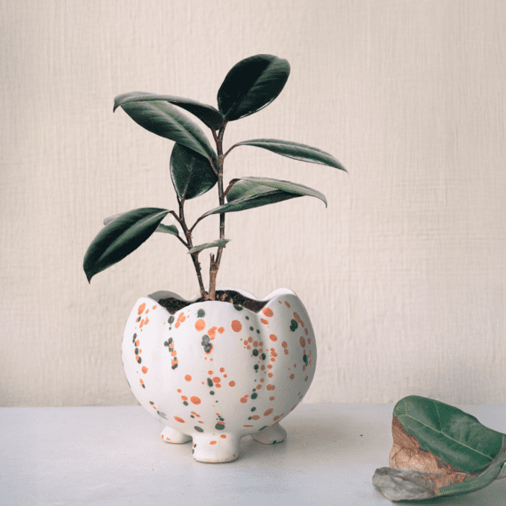 Speckled Sprout Pot
