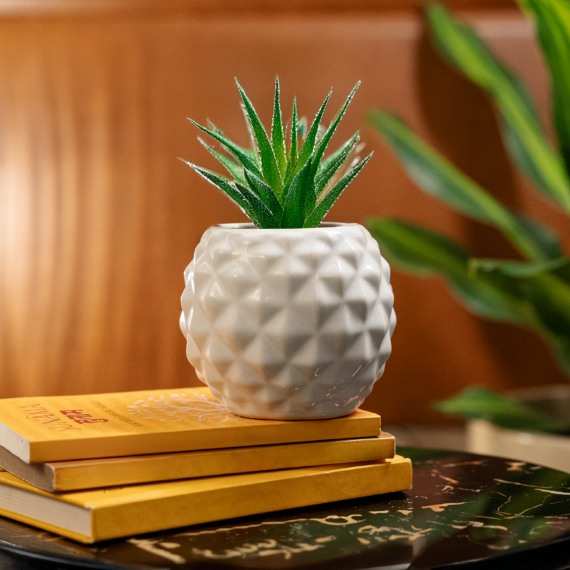 White Ceramic Pineapple Pot