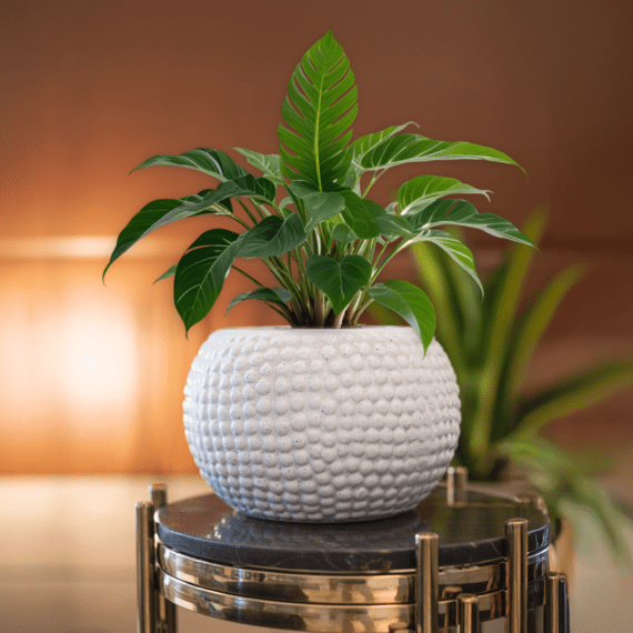 Round Ceramic Groove Planter