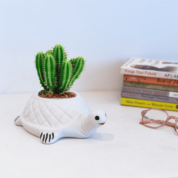 Tiny Turtle Planter - Image 5