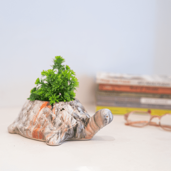Happy Turtle Planter