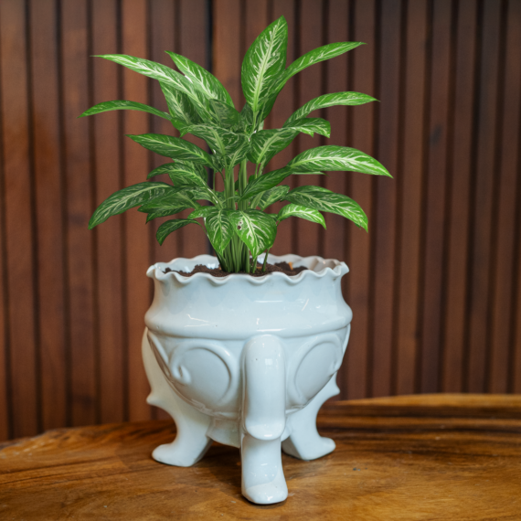 Vintage Vibe Flower Pot
