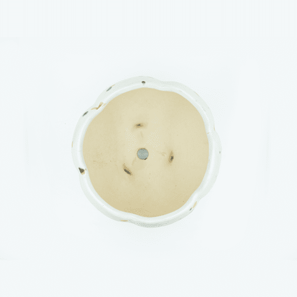 Speckled Sprout Pot - Image 4