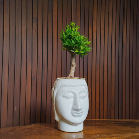 Buddha Flower Pot with Artificial Flowers