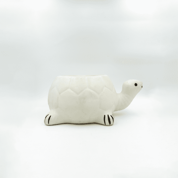Tiny Turtle Planter - Image 4
