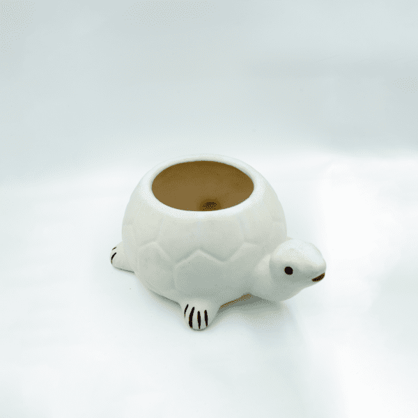 Tiny Turtle Planter - Image 2