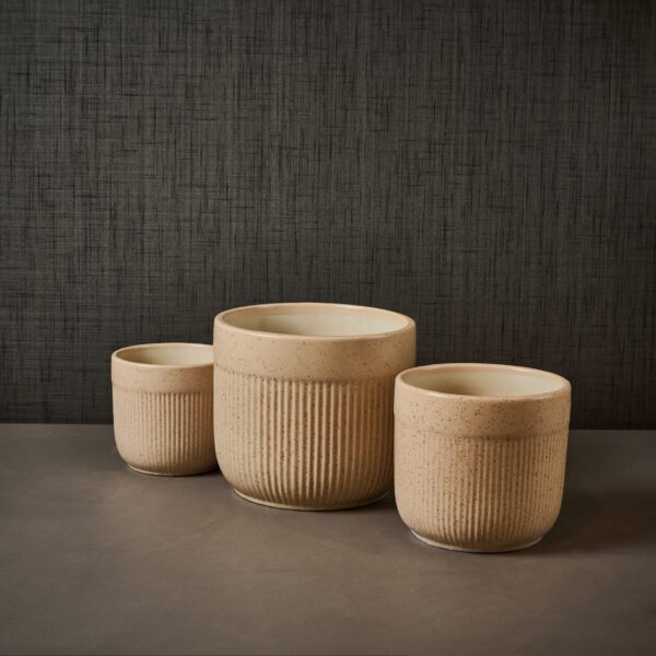Minimalistic Beige Ceramic Planter with Ribbed Finish- Set of 3