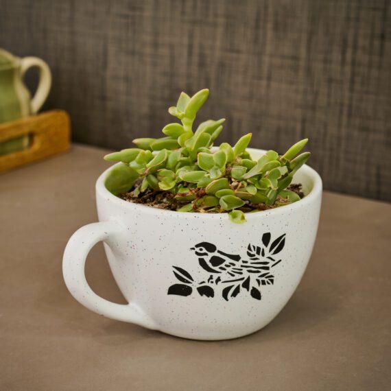 Wonderland Ceramic Small Cup Shape Pot for Plants (White)