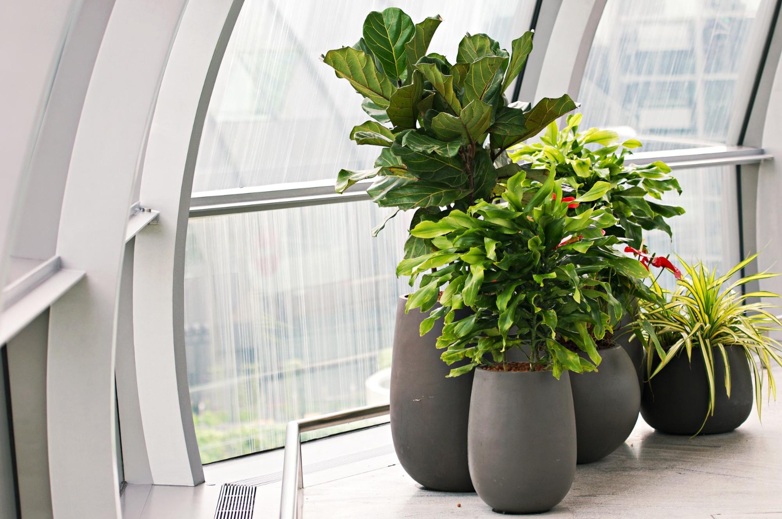 Home Makeover: Transform Your Space with Large Planters – Home & Office Decor 