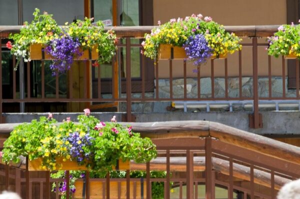 10 Easy Balcony Gardening Ideas for Small Spaces