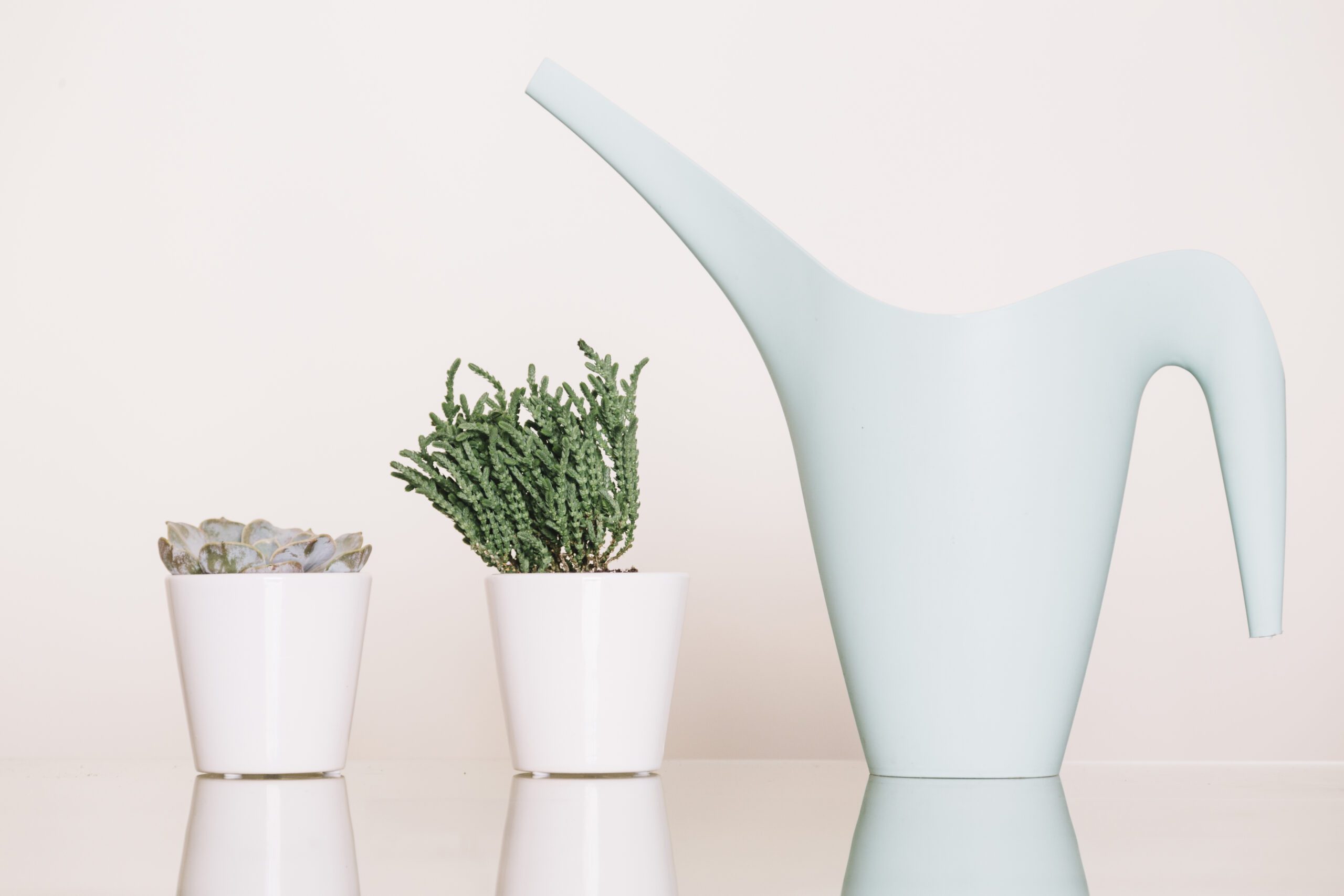 5 Easy Ways to Style Your Home with Ceramic Decor