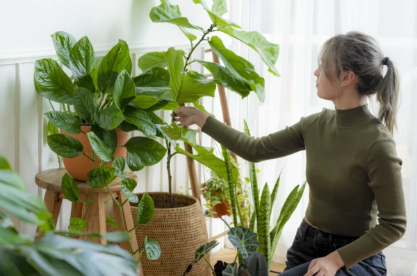 Your Guide to Apartment Gardening