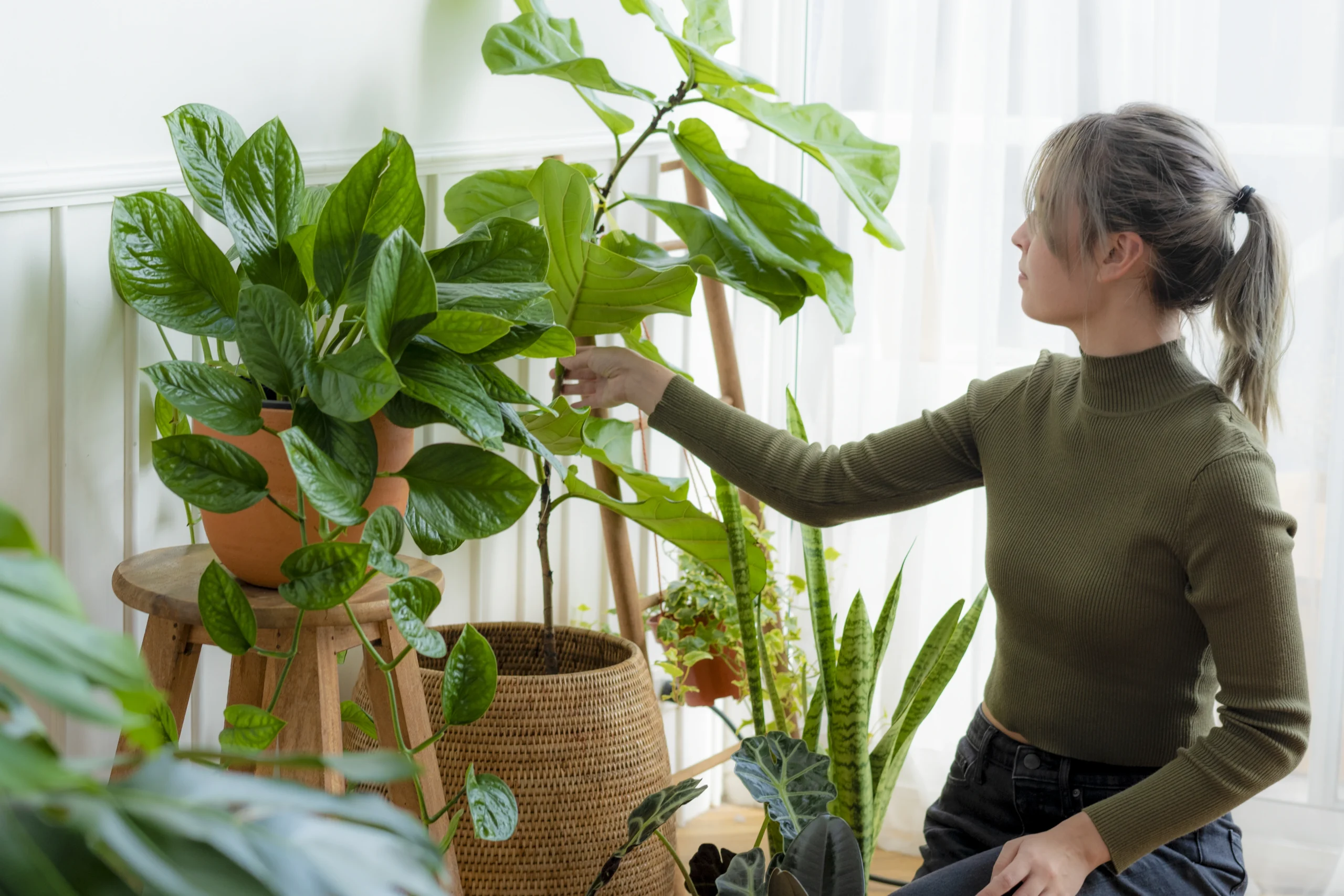 Your Guide to Apartment Gardening