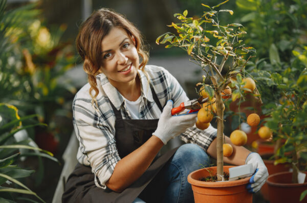 Want Fresh Veggies at Home? Try Vegetable Gardening in Pots