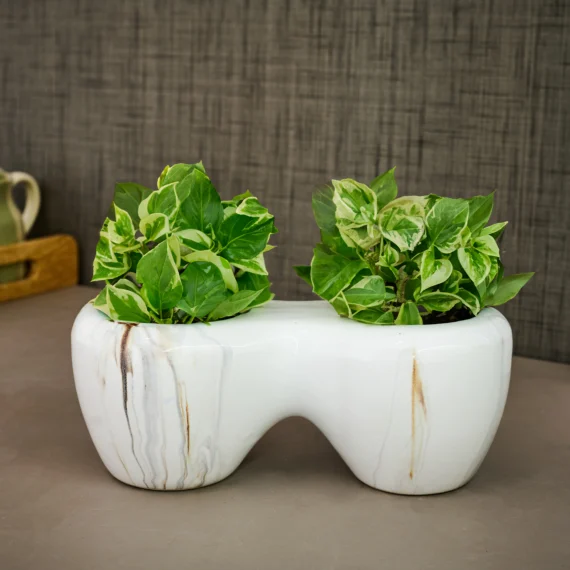Glossy white Dual ceramic small planter