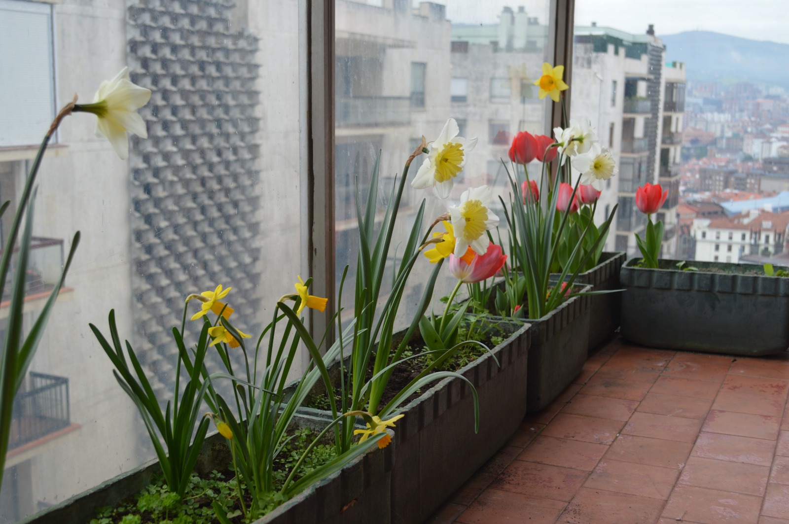 Apartment Balcony Gardening Made Simple – HOCC Ceramic Planters