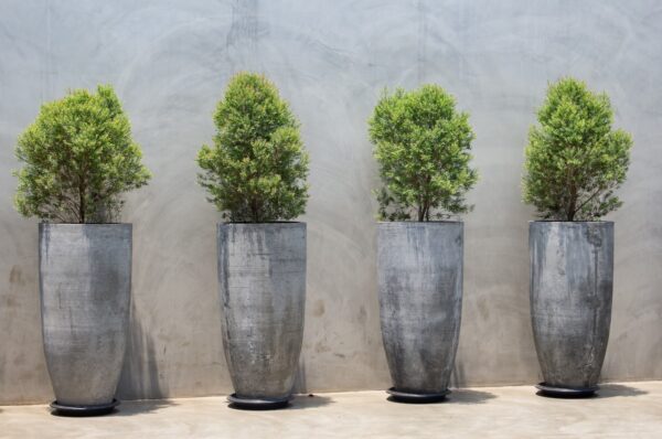Outdoor Planters to Make Your Garden Look Beautiful