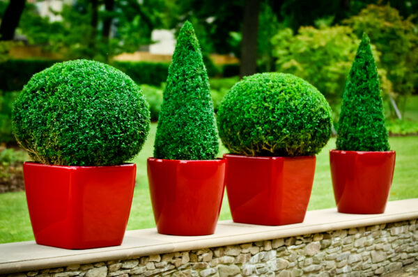 Best Garden Pots Buying Guide