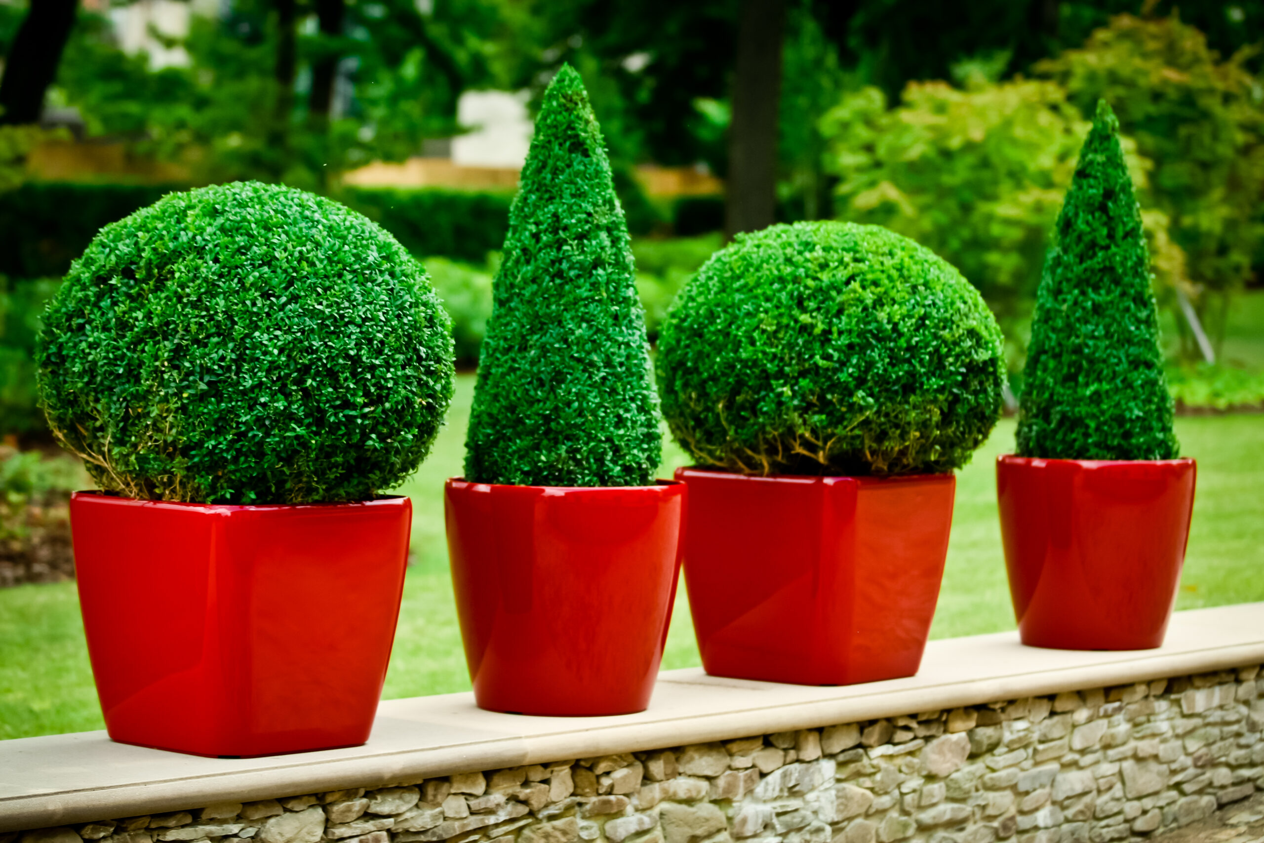Best Garden Pots Buying Guide