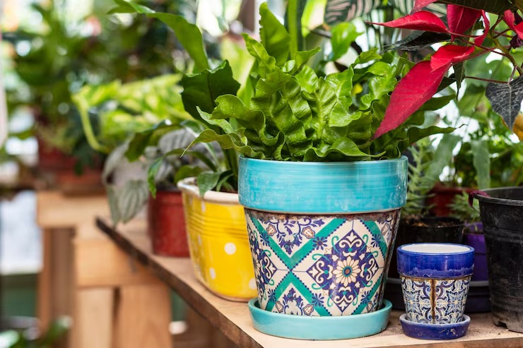 How to Choose the Best Balcony Planters for Apartments