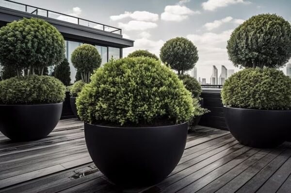 Trendy Ways You Can Decorate Your Hotel with Designer Planters