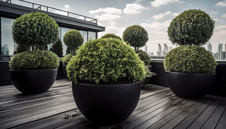 Trendy Ways You Can Decorate Your Hotel with Designer Planters