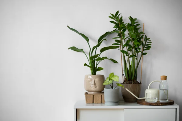 Event Decor: How to Decorate a Venue with Plants and Planters