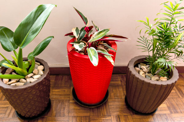 Chic Decorative Planters for Homes