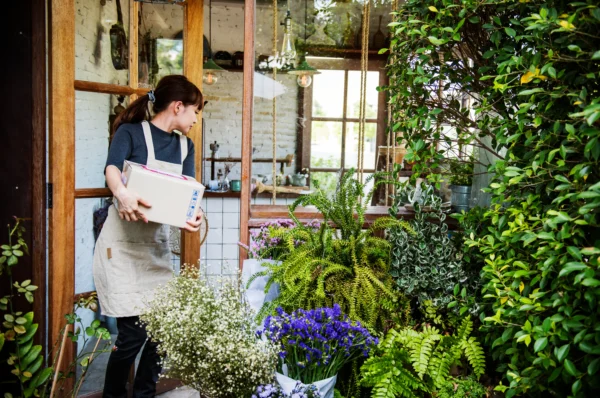 Budget-Friendly Mini Garden Ideas Using Ceramic Planters