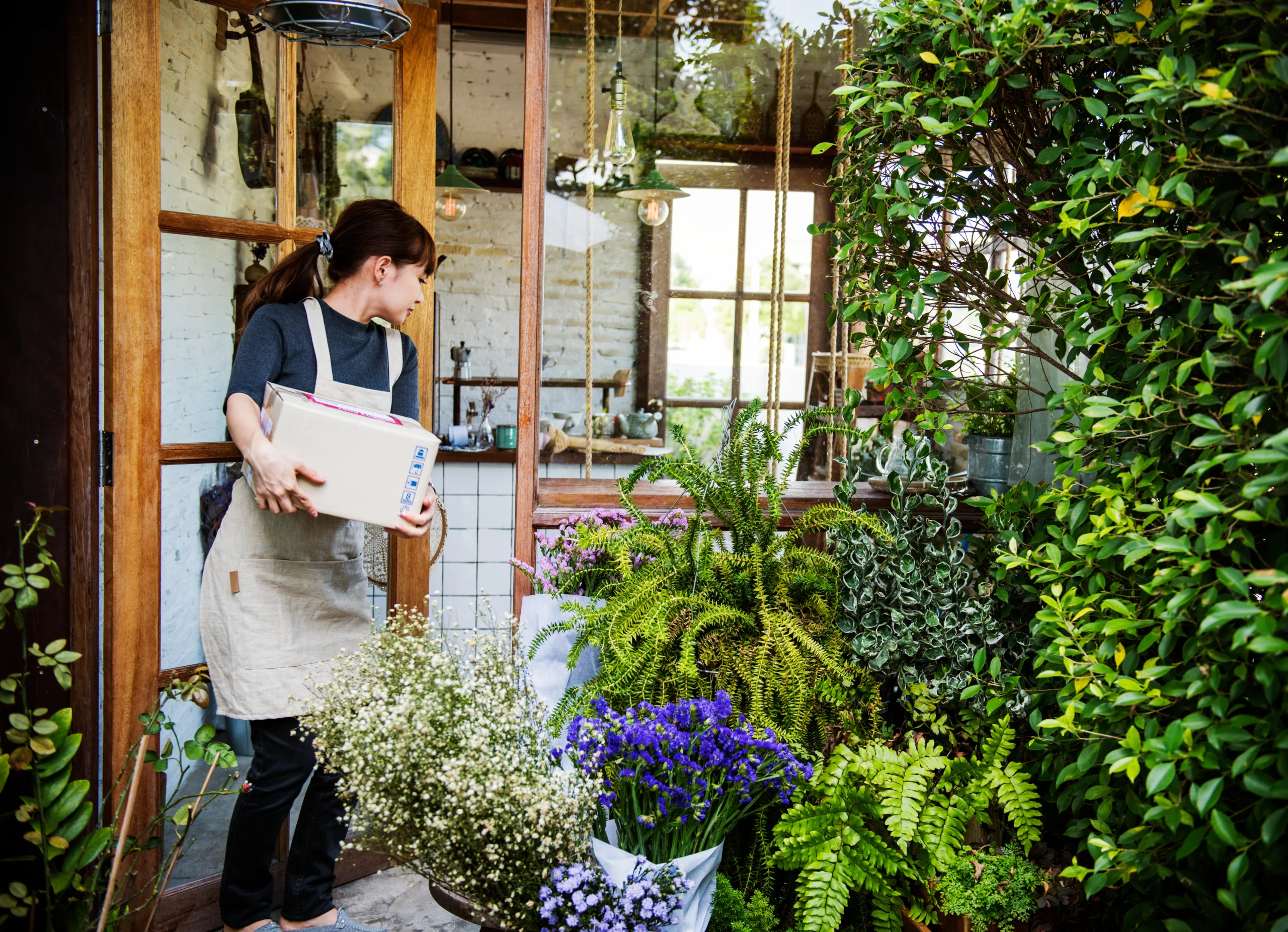 Budget-Friendly Mini Garden Ideas Using Ceramic Planters