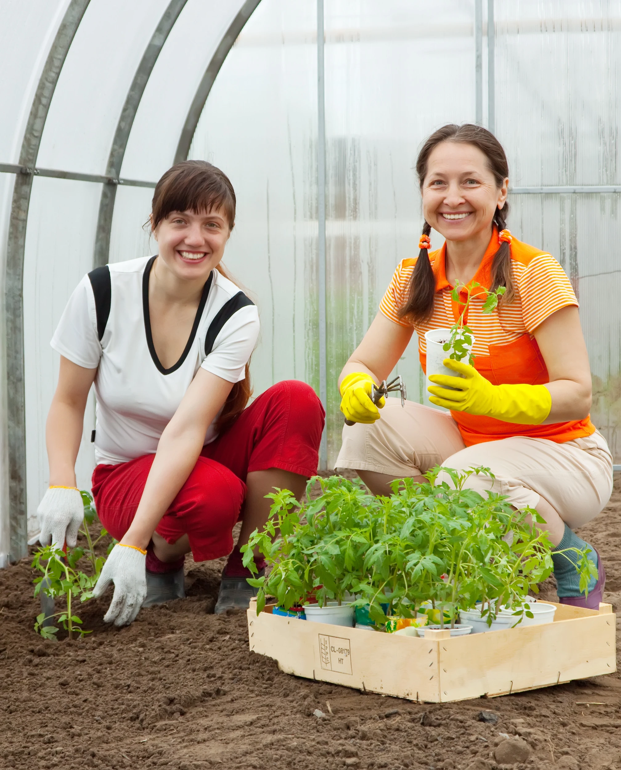 Easy Gardening in Containers at Home