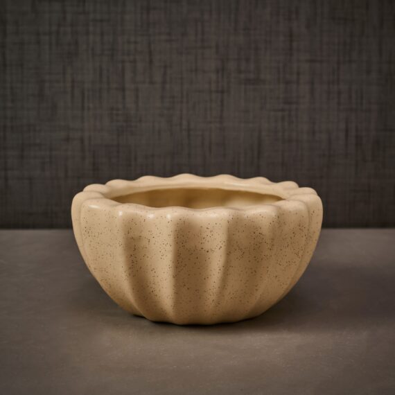 Decorative Beige Ceramic Shell Bowl planter/ Table décor/ Ceramic Home décor planter