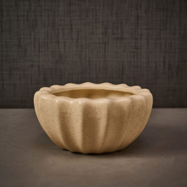 Decorative Beige Ceramic Shell Bowl planter/ Table décor/ Ceramic Home décor planter