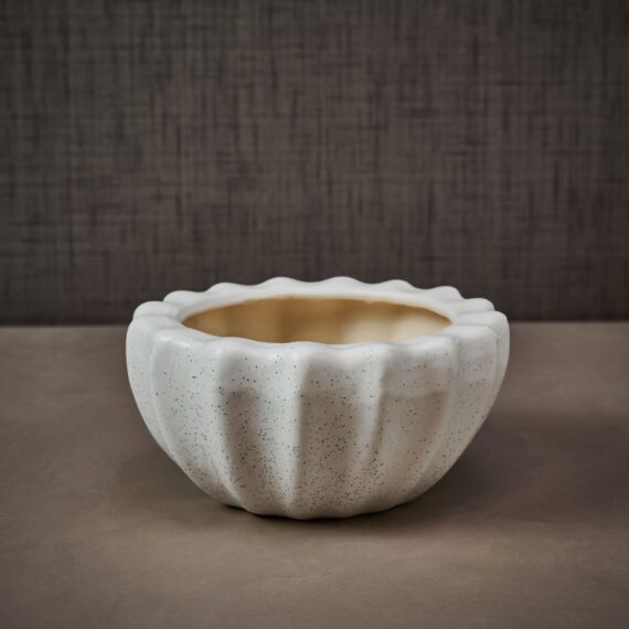 White Bonsai Ceramic small planter for home decoration