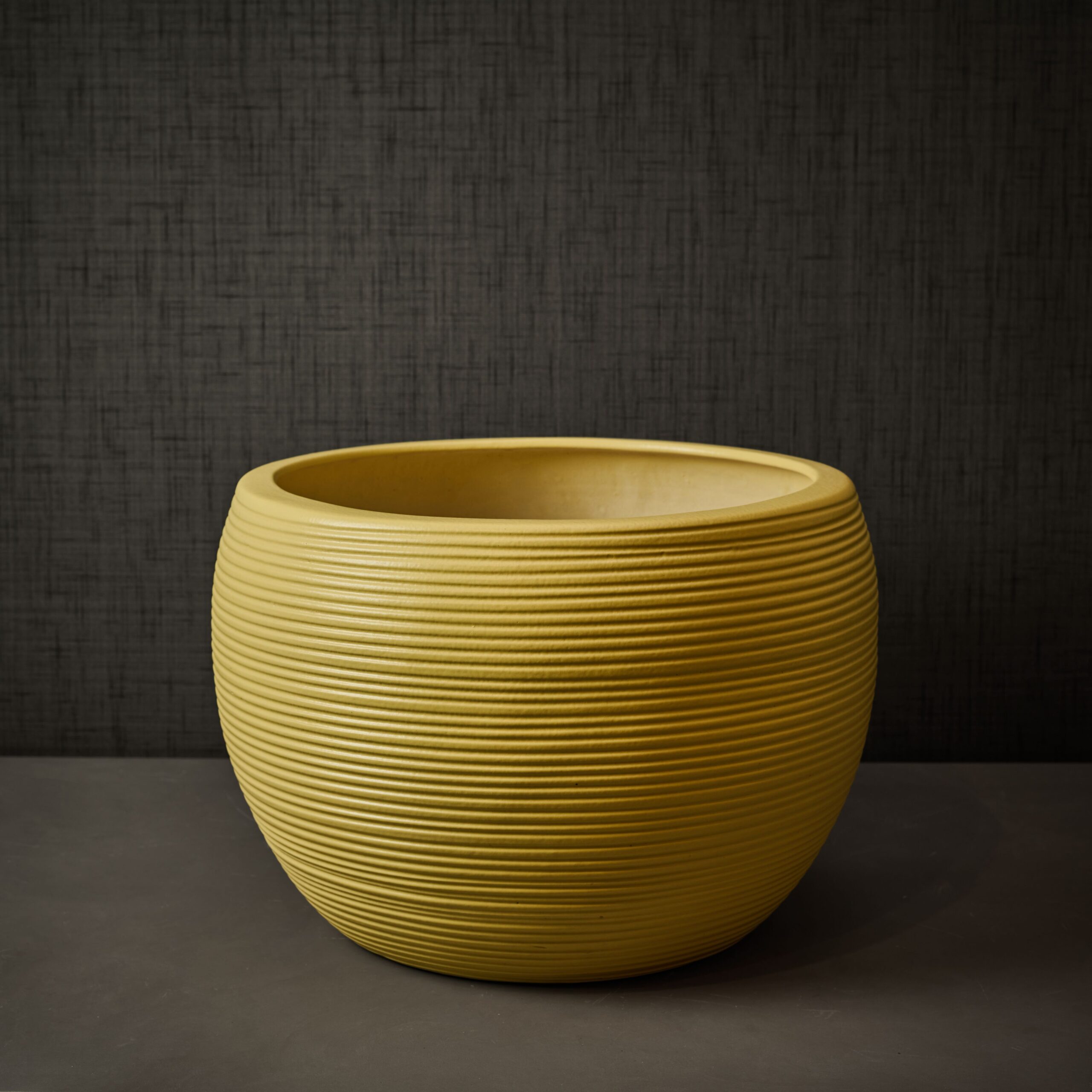 Looking for Plant Pot Big Size? Here’s What You Need to Know Before Buying