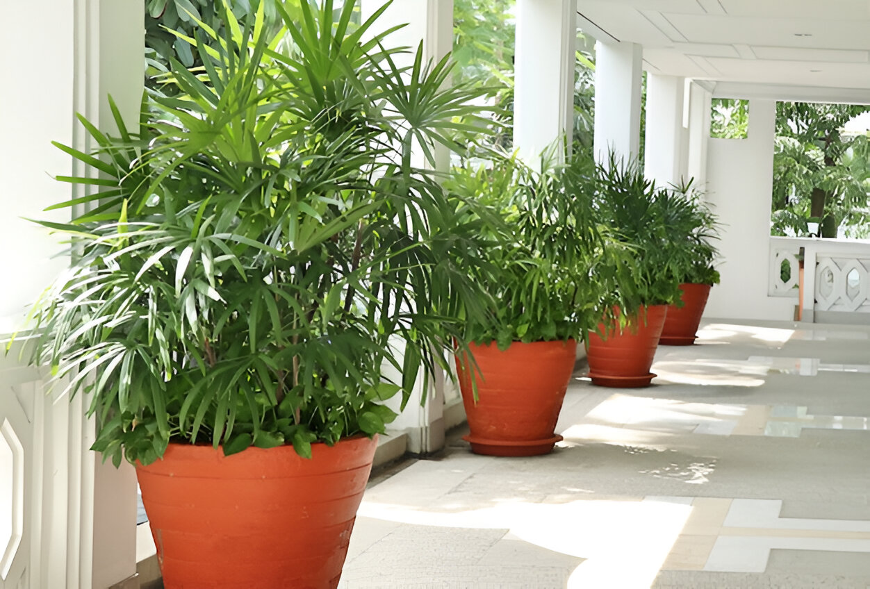 How to Choose Large Decorative Pots for Indoor Plants That Match Your Decor